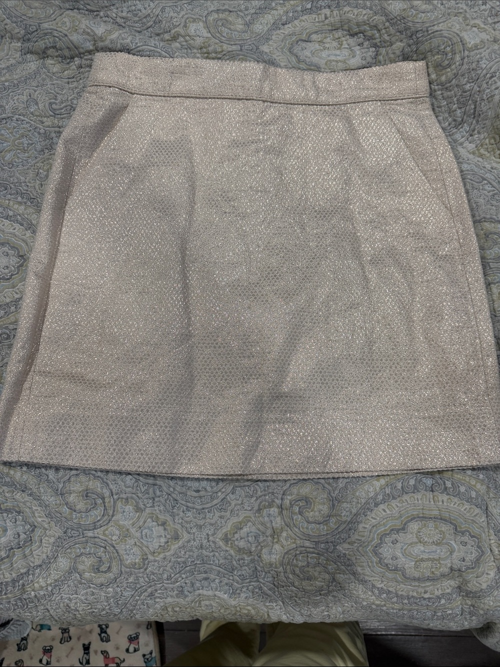 J. Crew Sparkle Light Pink Mini Skirt